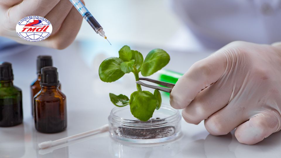 Nhóm ngành Công nghệ sinh học