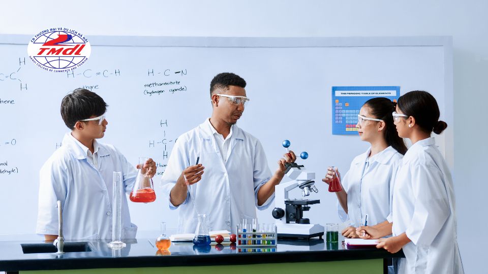 Khối ngành Khoa học cơ bản