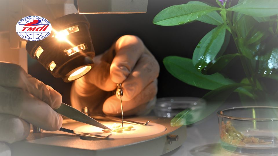 Tiềm năng của nhóm ngành Công nghệ sinh học trong 5 năm tới