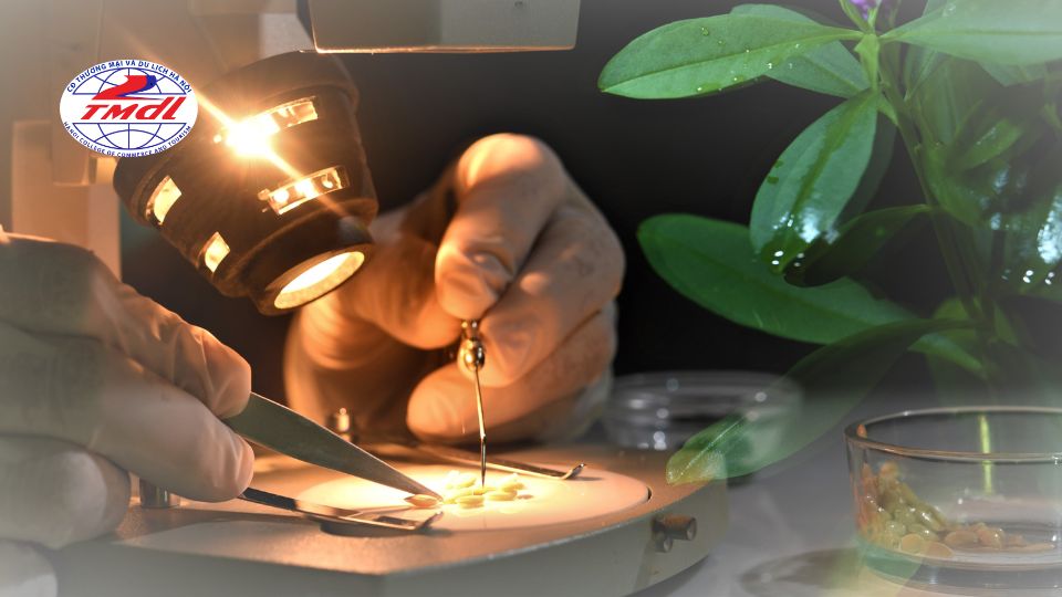 Nhóm ngành sinh học, môi trường